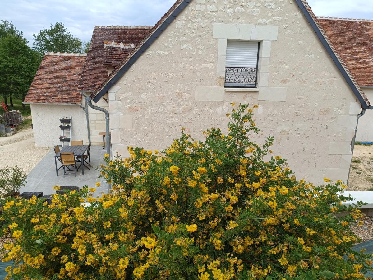 Gite De La Grand Maison Le Noyer Seigy Εξωτερικό φωτογραφία